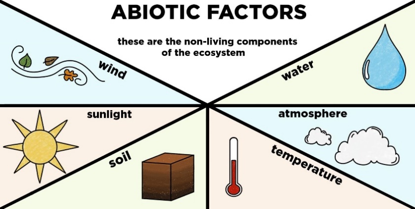 Faktor Abiotik — expii.com
