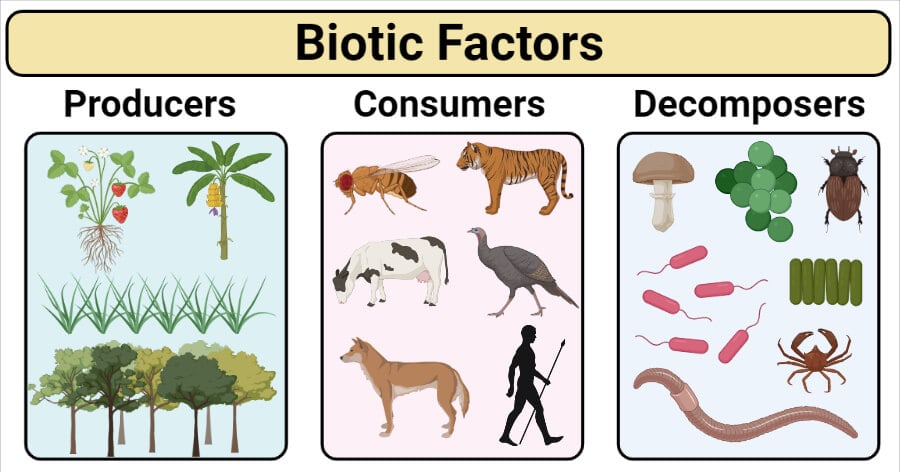 Komponen Biotik — microbenotes.com
