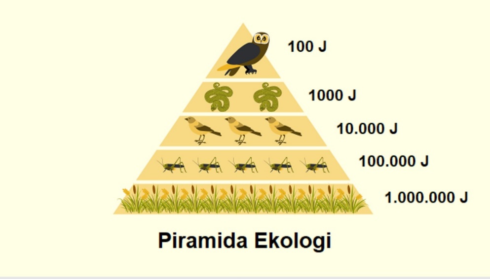 Piramida Energi — cerdika.com