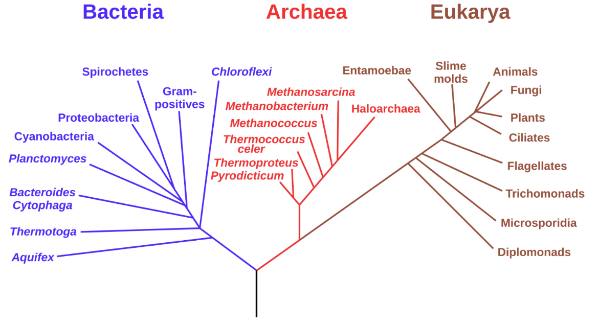 Sistem Tiga Domain — wikipedia.com