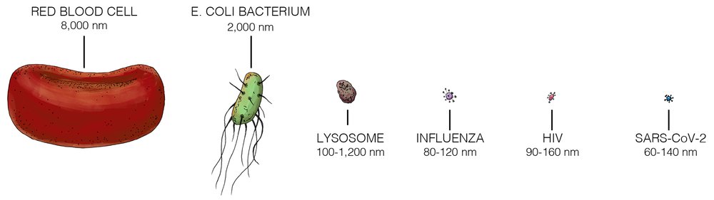 Ukuran Virus — scienceexchange.caltech.edu