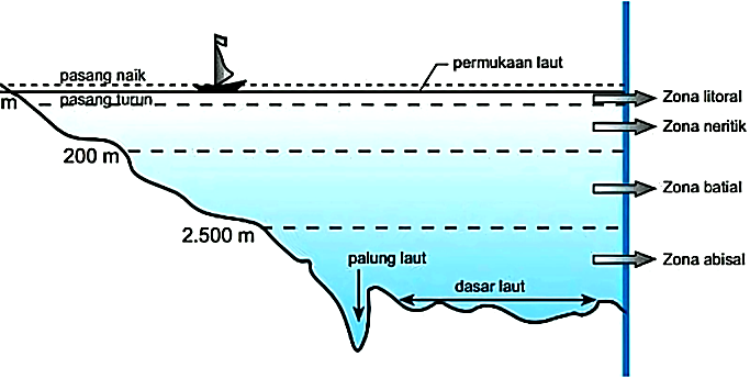 Zona Kedalaman Laut – kompas.com