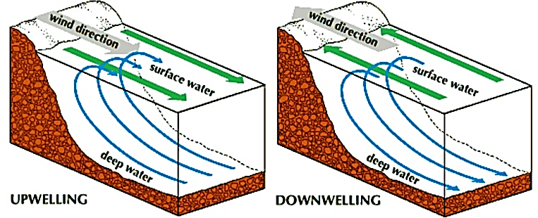 Up Welling Current dan Down Welling Current – britannica.com