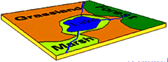 Data Vektor – rsgisworld.com
