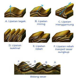 Jenis-Jenis Lipatan – haloedukasi.com
