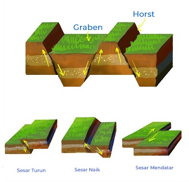 Jenis Patahan Graben dan Horst – haloedukasi.com