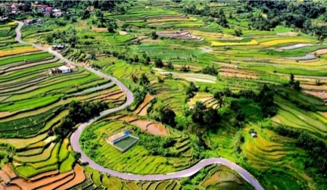 Terasering Pariangan di Kaki Gunung Marapi – kabarbumn.com