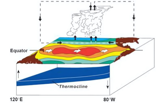 Keadaan Suhu Saat El Nino di Samudra Pasifik – reefresilience.org