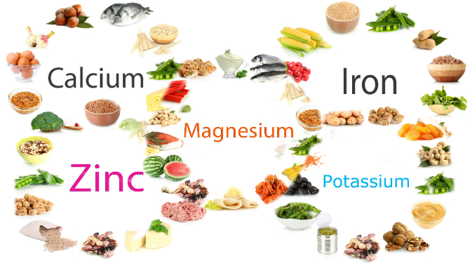 Zat Mineral Terkandung pada Makanan - Purplekaddu.com