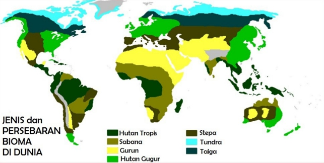 Peta Persebaran Bioma di Dunia – bloggeografi.id