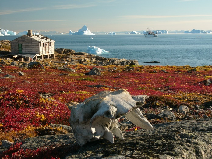 Tundra di Greenland – wikimedia.org