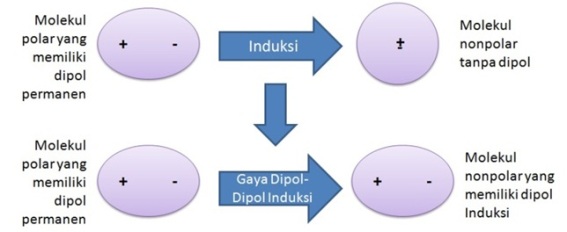 Ilustrasi interaksi dipol-induksi – id.wikipedia.org
