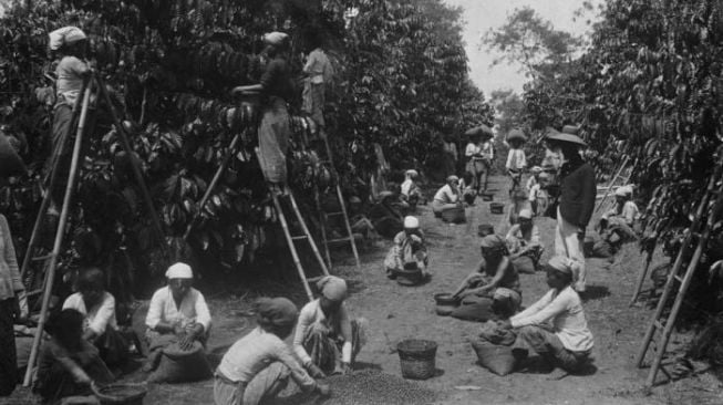 Sejarah Tanam Paksa – dok. Istimewa via suara.com
