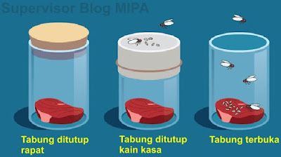 Ilustrasi percobaan Francesco Redi — biologijk.com