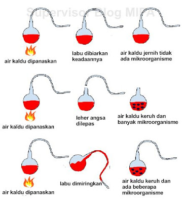Ilustrasi percobaan Lazzaro Spallanzani — biologijk.com