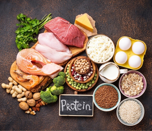 Ragam sumber protein hewani dan nabati