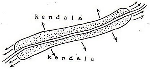 Model Kota Bentuk Pita (Ribbon-Shaped Cities)