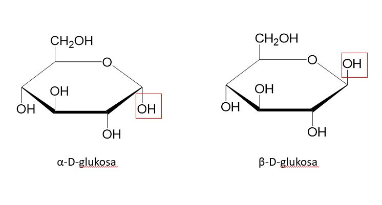 Proyeksi Haworth α-D-glukosa dan β-D-glukosa