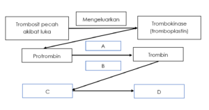 Gambar soal