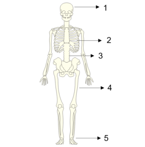 Gambar soal