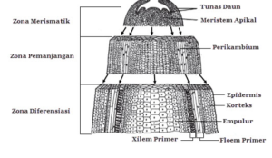 Gambar soal