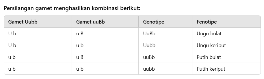 Gambar soal